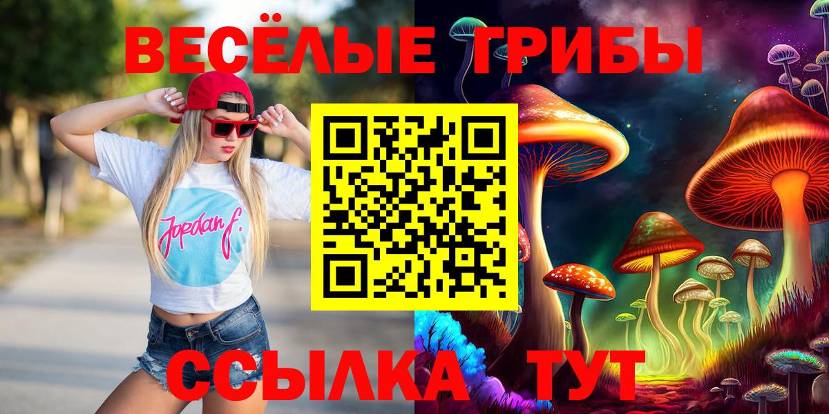 Псилоцибиновые грибы Psilocybine cubensis  Вход с VPN  Мурманск 