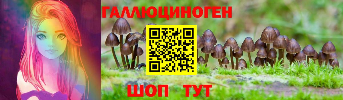 Псилоцибиновые грибы мицелий Мурманск